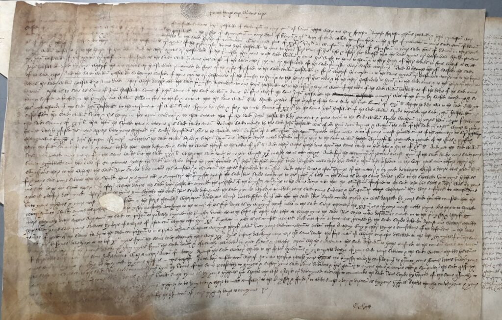 The petition of John Halswell against Richard Strode, submitted to the Court of Requests in the early 1540s (TNA REQ2/4/394)